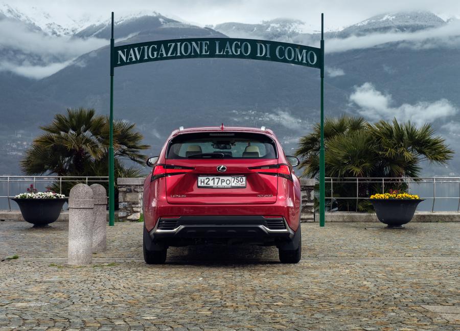  Lexus NX200 2018 года  (CIS) (фото 38 из 43)